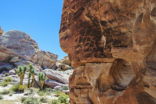 A leaked document indicates that Gold Butte is one of the national monuments whose boundaries the Trump administration wants to shrink. (Bureau of Land Mgmt.)