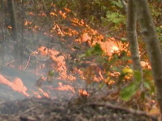 Wildfires and the cost of fighting them often are considered a western problem, but 14 people died in a 2016 fire in the Great Smoky Mountains. (National Park Service)