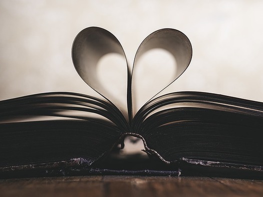 Recidivism is down substantially at Iowa correctional facilities where DMACC offers educational and vocational training. (DariuszSankowski/Pixabay)