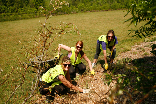 Employees from North Carolina businesses participate in projects for nonprofits on Earth Day with the coordination of Earthshare NC. (Earthshare NC)