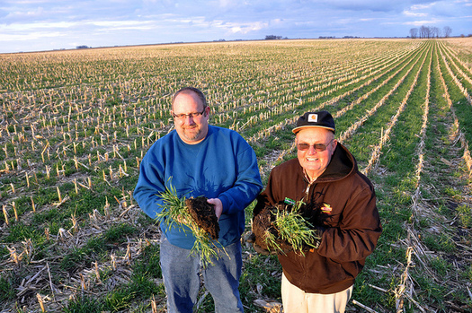 Agriculture organizations say a new cover-crop incentive program will help improve land resiliency.(USDA)