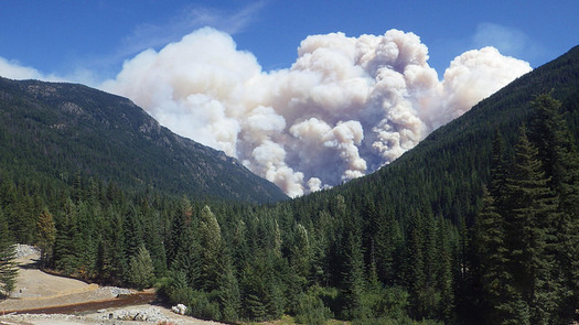 Wildfires raged across Washington state this year and scientists point to climate change as the reason for their intensity. (USFS/Flickr)