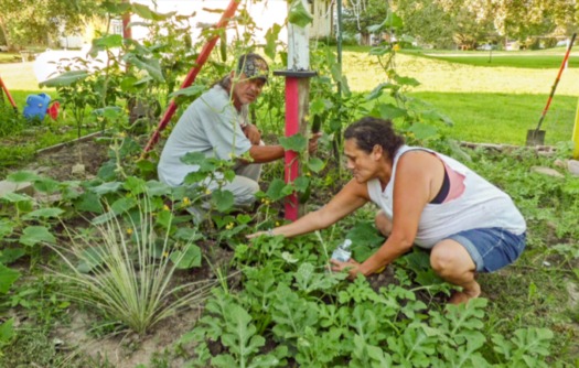 The Santee Sioux tribe in Nebraska is creating community gardens and other access points for local foods. (CFRA)