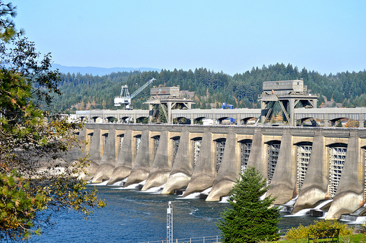 Bonneville Dam is one of many in the Columbia River basin. (Colleen Benelli/Flickr)