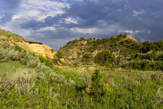 A proposed oil refinery would be located within three miles of Theodore Roosevelt National Park. (Matt Zimmerman/Flickr)