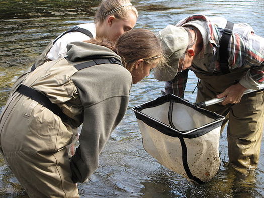 Students across Utah are learning more about the connection between clean water and healthy trout populations. (USFWS)