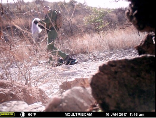 A video still from January 2017 shows a Border Patrol agent removing a blanket left for migrants. (No More Deaths)