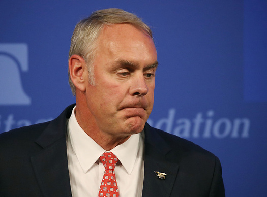 National Park Service Advisory Board members are concerned Secretary Ryan Zinke's Interior Department is not focused on the protection of national parks. (Mark Wilson/Getty Images)
