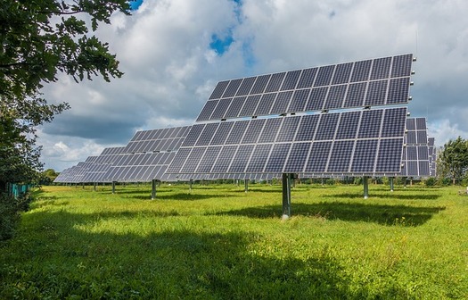 Clean energy advocates say the solar market is resilient and growth will survive despite the impact of new tariffs. (Pixabay)
