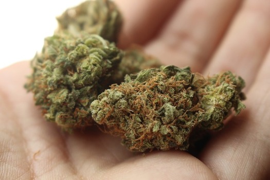 Nine states and Washington D.C. have legalized recreational marijuana. (StayRegular/Pixabay)