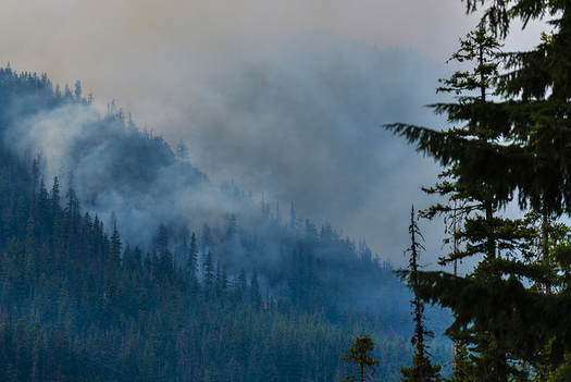 Worsening wildfires are a concern if Washington state lawmakers don't find ways to give businesses more incentive to reduce carbon emissions. (LDELD/Flickr)