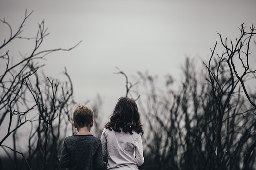 Some Idaho school districts provide sexual abuse training. (Pexels/PIxabay)