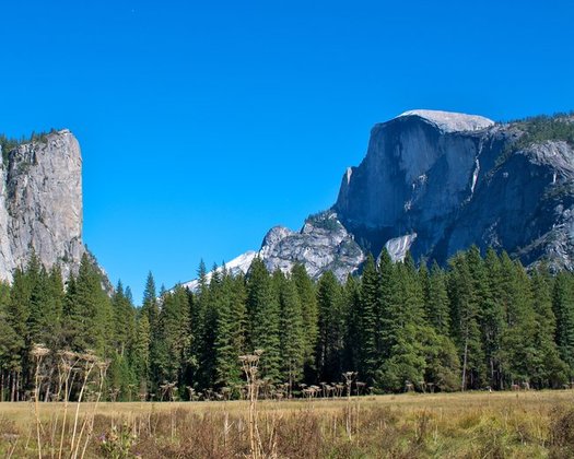 A variety of experts will look this weekend for creative ways to reduce and/or fund the massive maintenance backlog at places like Yosemite, part of the National Park system. (Schick/Morguefile)