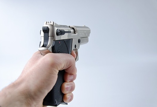 The Agriculture Departments Division of Licensing would have to issue or deny a concealed carry permit within 90 days of the permit application, according to an analysis of SB 740. (Pixabay)