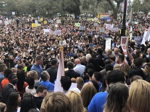 Students from across Florida traveled to Tallahassee to join fellow students protesting gun violence on the steps of the old Florida Capitol in Tallahassee. (Trimmel Gomes)