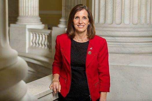 Arizona Congresswoman Martha McSally earned an 11 percent rating on the latest Environmental Scorecard from the League of Conservation Voters. (McSally.house.gov)