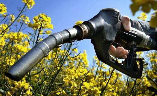 Environmental groups are supporting new legislation in Congress to reduce ethanol production in favor of next-generation biofuels. (theecologist.org)
