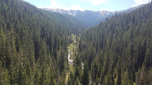 Groups from Idaho, Montana and eastern Washington are at the 