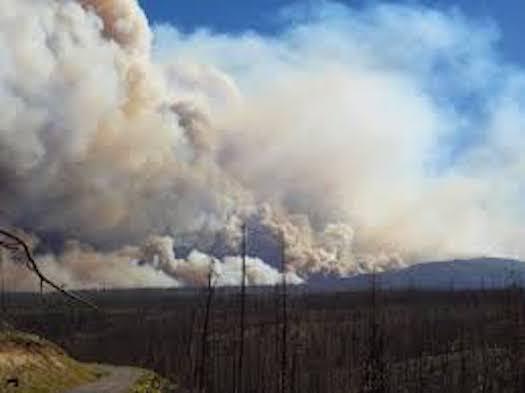 New Mexico already has seen 80 wildfires in March, and 90 percent have been human-caused. (env.nm.gov) 