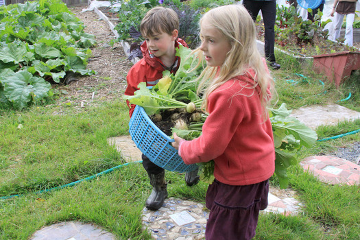 Agriculture may be the top industry in South Dakota, but kids who aren't from farm families may not be aware of where their food comes from. (sitkalocalfoodsnetwork.org) 