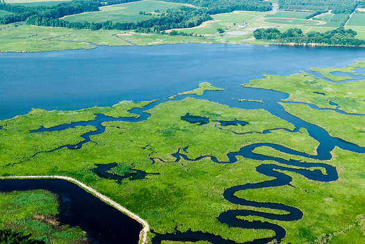 The federal spending bill includes $73 million for Chesapeake Bay restoration efforts. (Chesapeake Bay Program) 