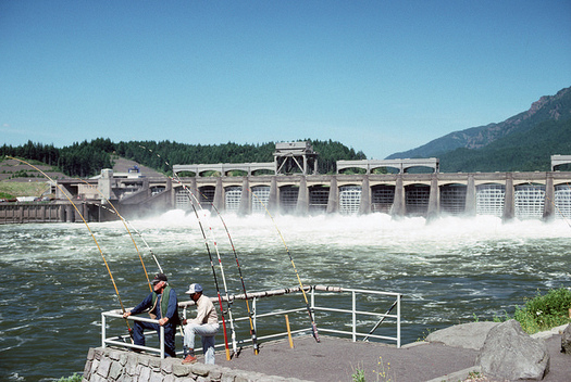 A federal court has mandated that dams in the Columbia River Basin increase spill for salmon four times since 2005. (U.S. Forest Service/Flickr)