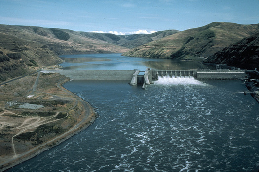 Conservation and fishing groups say four lower Snake River dams are driving salmon to the brink of extinction. (U.S. Army Corps of Engineers)