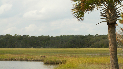 Florida's national parks face a $262 million backlog of deferred maintenance. (Timucuan Ecological & Historic Preserve/National Park Service)