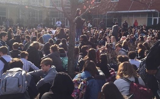 Students walked out of Millbook High School on March 14, but several teens at the school have decided action can't end with their walkout. (Riley Yates)