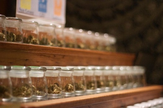 Nine states and the District of Columbia have passed laws legalizing recreational marijuana. (@katebilyeu via Twenty20)