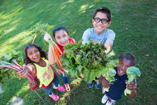 AARP Maryland, the AARP Foundation and REAL School Gardens partner to build an outdoor classroom for southwest Baltimore students. (REAL School Gardens) 