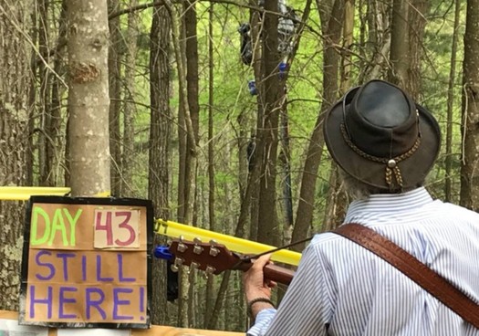 Folks who want to resupply a protester blocking the Mountain Valley Pipeline say the Forest Service is keeping them 125 feet from the tall pole she occupies. (Appalachians Against Pipelines)