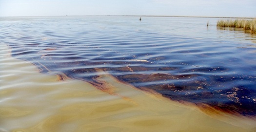 Opponents of offshore drilling say a spill would devastate New Yorks fishing and tourism industries. (U.S. Coast Guard)