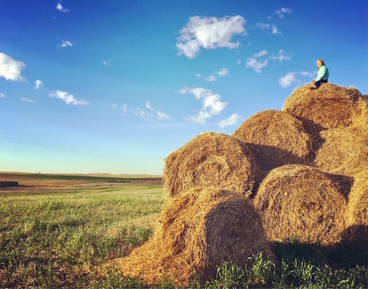 North Dakota farmers hope to find predictability in this year's Farm Bill. (Clairegran/Twenty20)