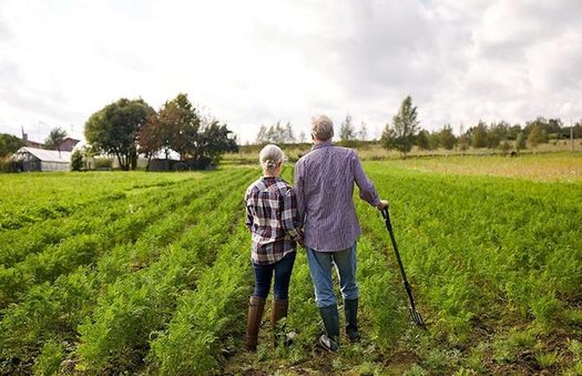Unintentional pesticide drift can result in unsellable crops and damage the health of people and animals. (panna.org)