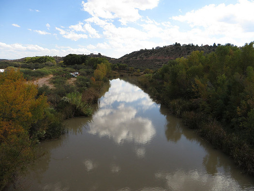 The protected area includes 230 acres of cottonwood-willow forest along the Verde River corridor. (Ken Lund/Flickr)