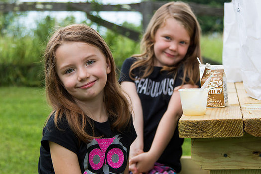 Children in nine Ohio counties receive food during the summer through the state's Rural Summer Food Program. (USDA)