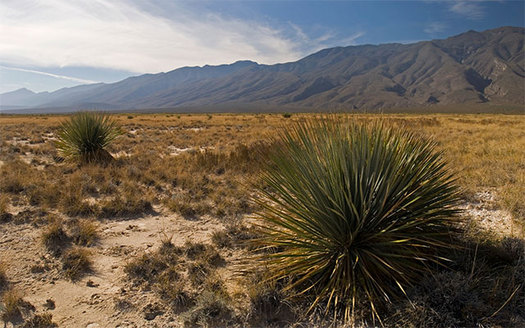 New Mexico is the second-largest state recipient of energy-related mineral royalties, after Wyoming. (nature.org) 
