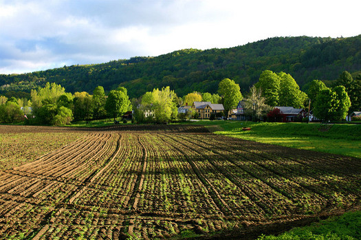 Some New England farmers are concerned the Monsanto-Bayer merger will consolidate control of more than a quarter of the world’s seed and pesticides market.(Liz West.)