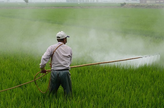 According to Earthjustice, approximately 10,000 to 20,000 pesticide poisonings occur every year among farmworkers. (Pixabay)