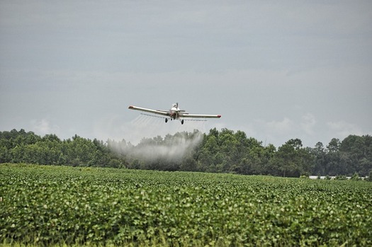 According to Earthjustice, every day starting at dawn, teenage and adult farmworkers labor by hand in fields covered with toxic pesticides. (Pixabay)