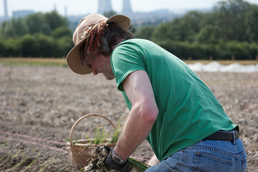 Middle Tennessee farmers will soon be able to pursue an agricultural degree without having to leave the area, and some scholarship money is available. (Cultivate Oxford/Flickr)