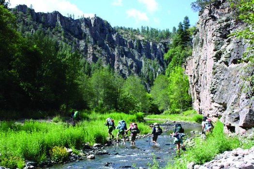 The 3.3 million-acre Gila National Forest was the the first wilderness in the United States when it was established in 1905. (earthguardians.org)