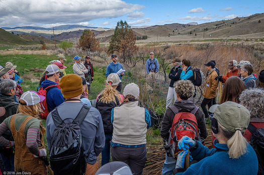 Restoration projects in Oregon's high desert include tree plantings along John Day River tributaries. (Jim Davis/Oregon Natural Desert Association)