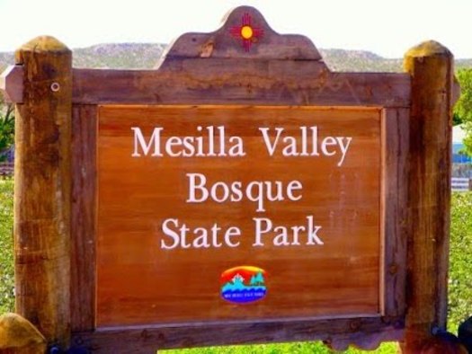 The threatened Land and Water Conservation Fund helped purchase 13 remaining acres to create the Mesilla Valley Bosque State Park. (mybosquefriends.org)