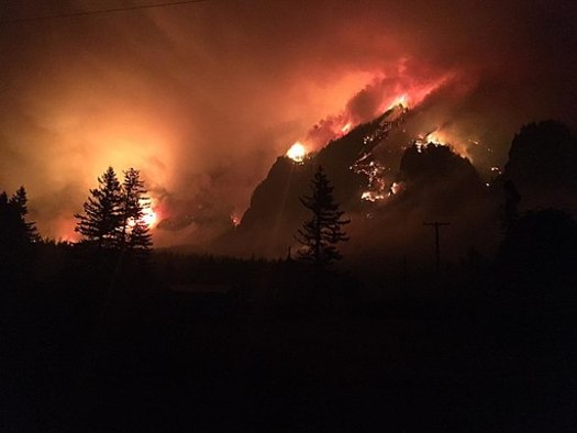 According to the National Fire Protection Association, fireworks cause nearly 18,500 fires annually, including the giant Eagle Creek fire in Oregon last year that ended up destroying 48,000 acres. (U.S. Forest Service)