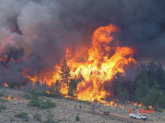 Last year was one of the most devastating wildfire seasons in Montana's history. (Dan Borsum/NOAA)