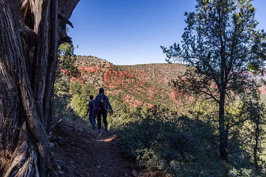 Ironwood Tree Experience's American Experience program takes Arizona teens hiking and backpacking through iconic western landscapes. (Flickr) 