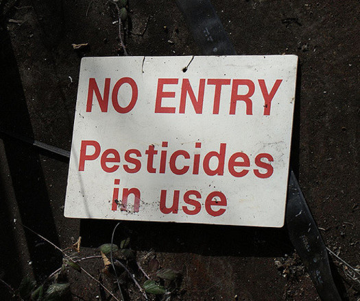 Pesticide drift can reach unsafe levels even at 300 feet from a fields edge, according to Earthjustice. (Andy Powell/Flickr) 