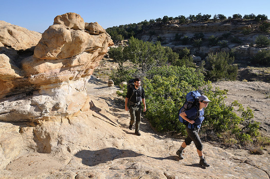 New Mexico has approximately 963 trails, including 513 hiking trails and 213 for mountain biking. (blm.gov)